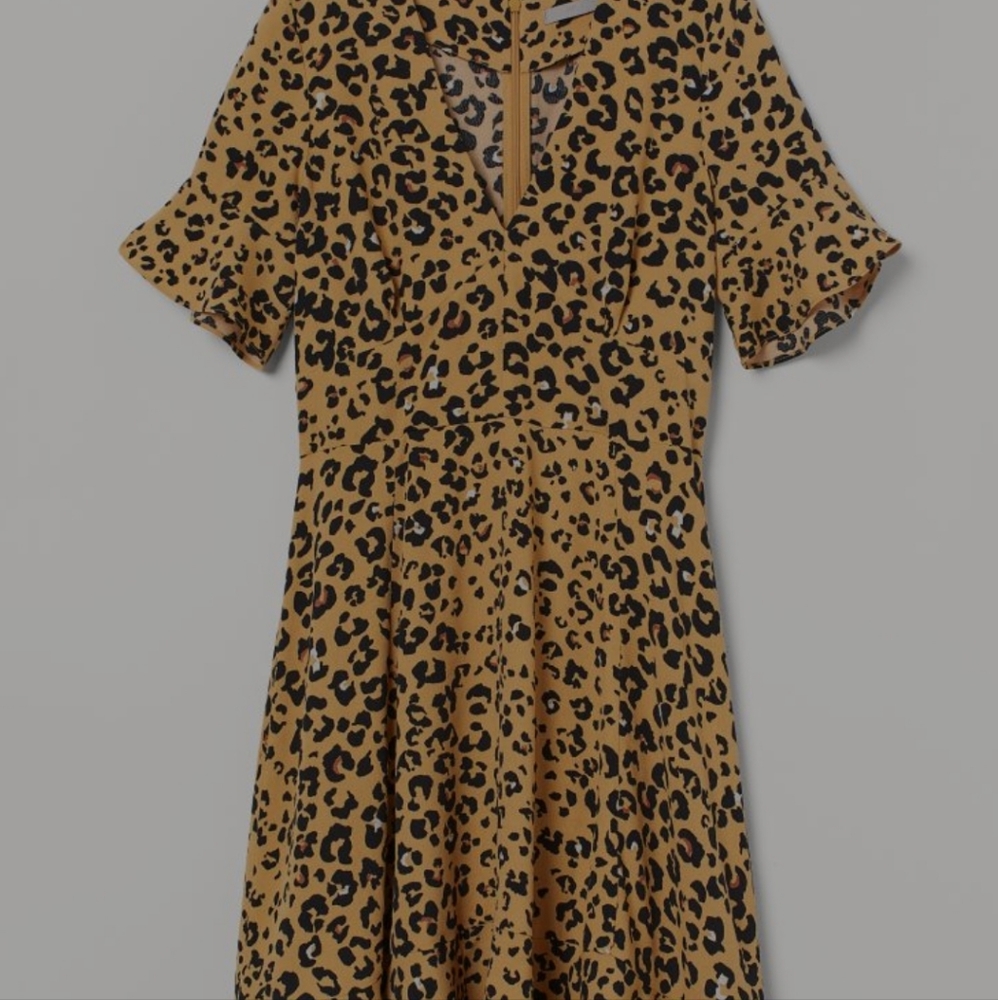 H&M Leopard Print  Pin Up Dress
